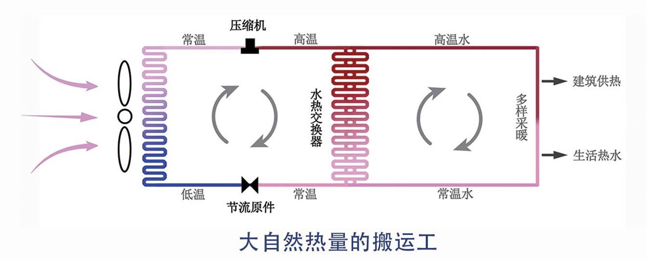大自然的搬運工